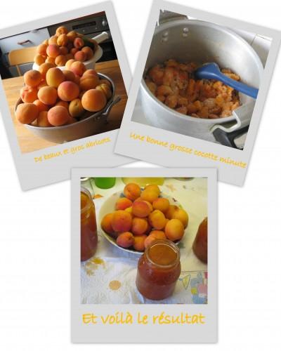 George fait des confitures confiote d'abricots.jpg