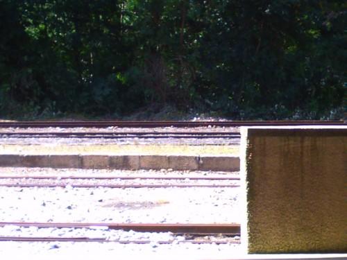 Lamastre(Ardèche) le 14 juillet 2009 020.jpg