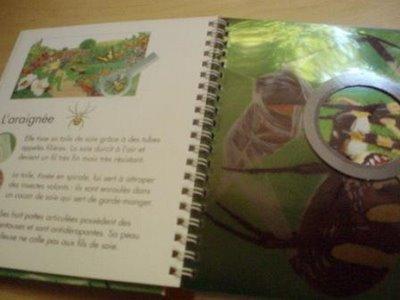 Au plus près des insectes Au plus près des insectes