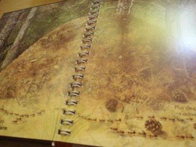 Au plus près des insectes Au plus près des insectes