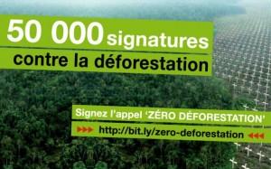 zero-deforestation