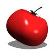 tomato_showcase_md_wht_1_