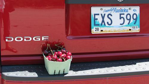 C'est grand la Colombie Britannique IMG_4638