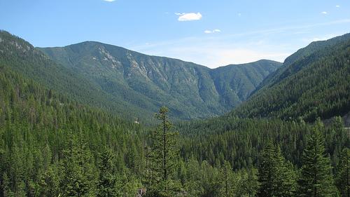 C'est grand la Colombie Britannique IMG_4653