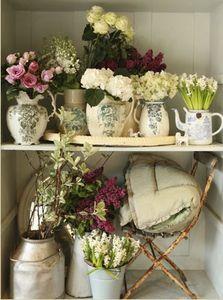 Scarlet and Violet cupboard