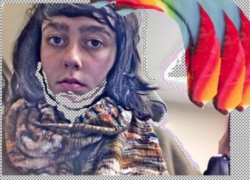 indiensoci indiensoci