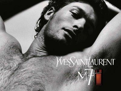 Comédie Musicale : La vie d'Yves Saint Laurent en chansons par Alain Chamfort