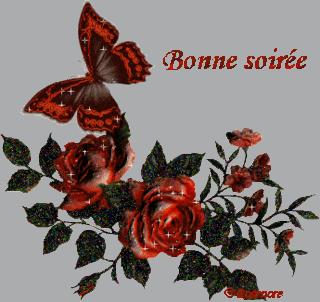 1192041402BONNESOIR2E.gif Bonne soiree image by Supertornade