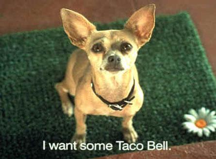 R.I.P Taco Bell chihuahua
