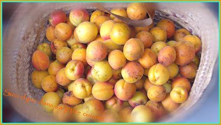 Confiture marmelade d'abricots panier_abricot