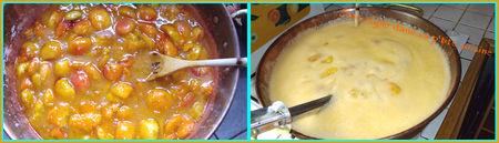 Confiture marmelade d'abricots confiture2
