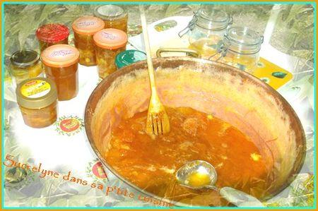 Confiture marmelade d'abricots conf
