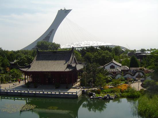 Montreal Botanical Gardens (Jardin Botanique de Montreal) : Olympic stadium - view from the gardens 