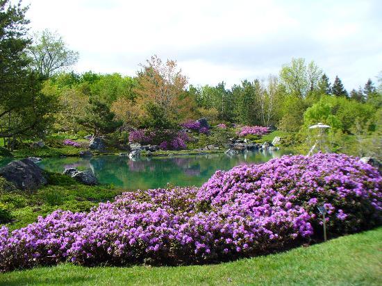 Montreal Botanical Gardens (Jardin Botanique de Montreal) : Japanese Garden 