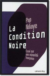 « La Condition noire », de Pap Ndiaye