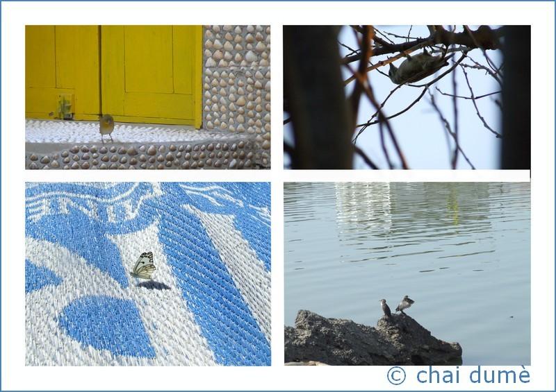 montage papillon 20924961 Tranches de vies... bis