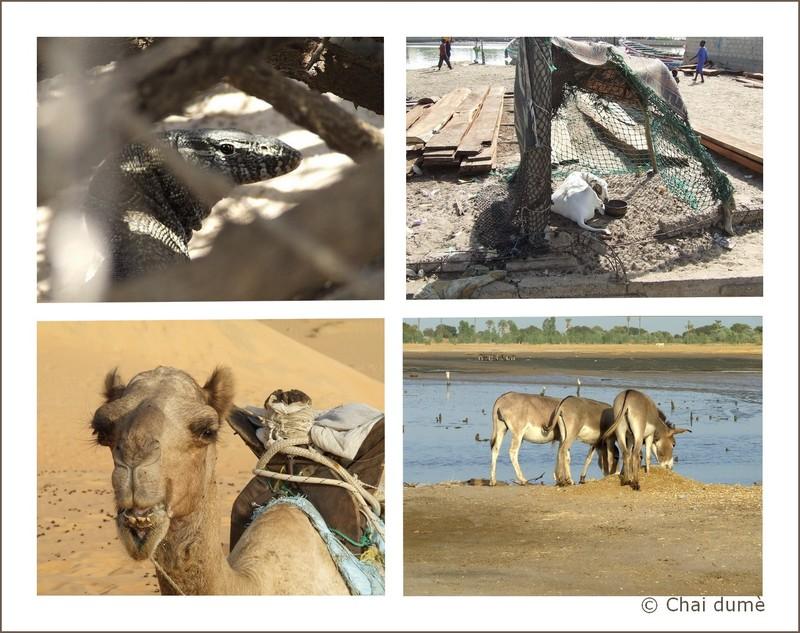 montage warran 20925714 Tranches de vies... bis