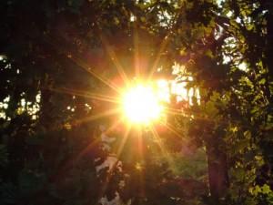 soleil_couchant soleil_couchant