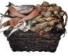 Encore une bonne excuse pour savourer ! poisson