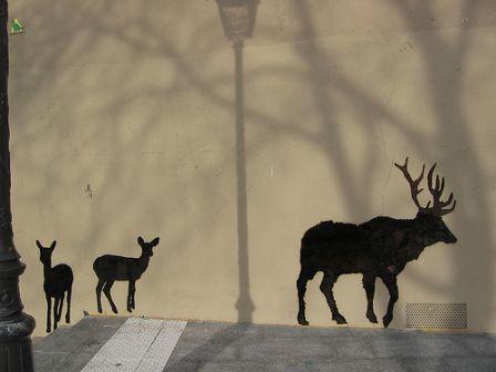 Neozoon - une harde de cerfs dans la jungle parisienne..., juil. 2009 Neozoon - une harde de cerfs dans la jungle parisienne...