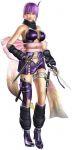 Ninja Gaiden Sigma II attaque en artworks Image