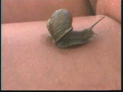 Virginal Widoff26.JPG