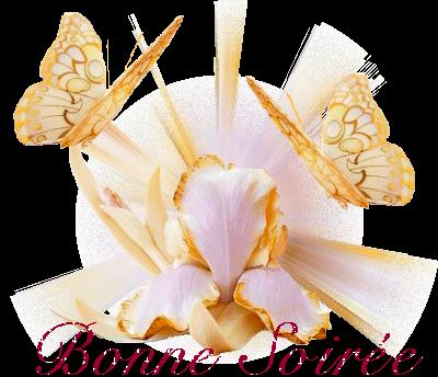 2 tags recus et blog Oumtalal a l honneur ce jour 2 tags recus et blog Oumtalal a l honneur ce jour