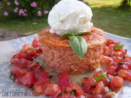 Flans à la Tomate et son Sorbet de Chèvre ST834039
