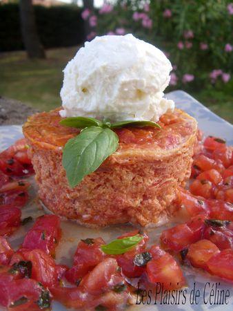 Flans à la Tomate et son Sorbet de Chèvre ST834040