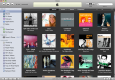 L'iTunes pour ebooks ? La cyber-librairie d'Apple n'est pas viable