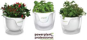 ça existe : plantes sans terre ! ça existe : plantes sans terre !