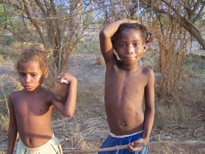 MADAGASCAR 8 : L'ALLEE DES BAOBABS