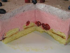 Entremet à la mousse à la framboise et mousse à la myrtille sur un biscuit à l'amande P1010102