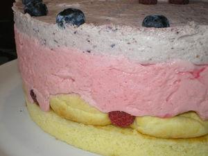 Entremet à la mousse à la framboise et mousse à la myrtille sur un biscuit à l'amande P1010101