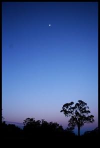 191_Crepuscule.jpg