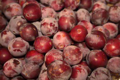 Récolte de prunes