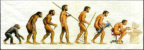 darwin 3791492209 d969129048 Sur la plage avec Darwin; cest tout bête !