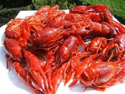 Bisque d'écrevisses Bisque d'écrevisses