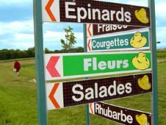 A vos brouettes !! coubert2.jpg