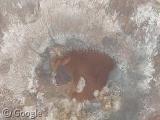 Dallol dallol