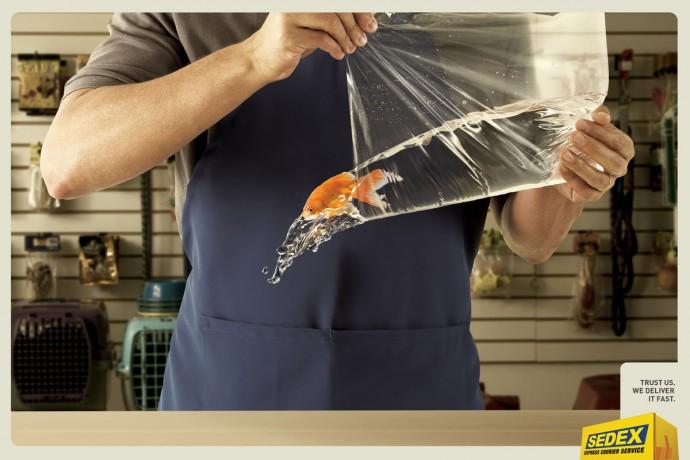 Pub Sedex - Trust us. We deliver it fast.