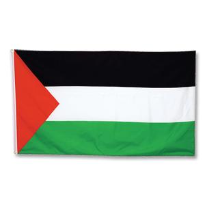 PalestineFlagBig08 PalestineFlagBig08
