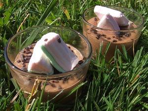 Mousse chocofluff DSCF8080