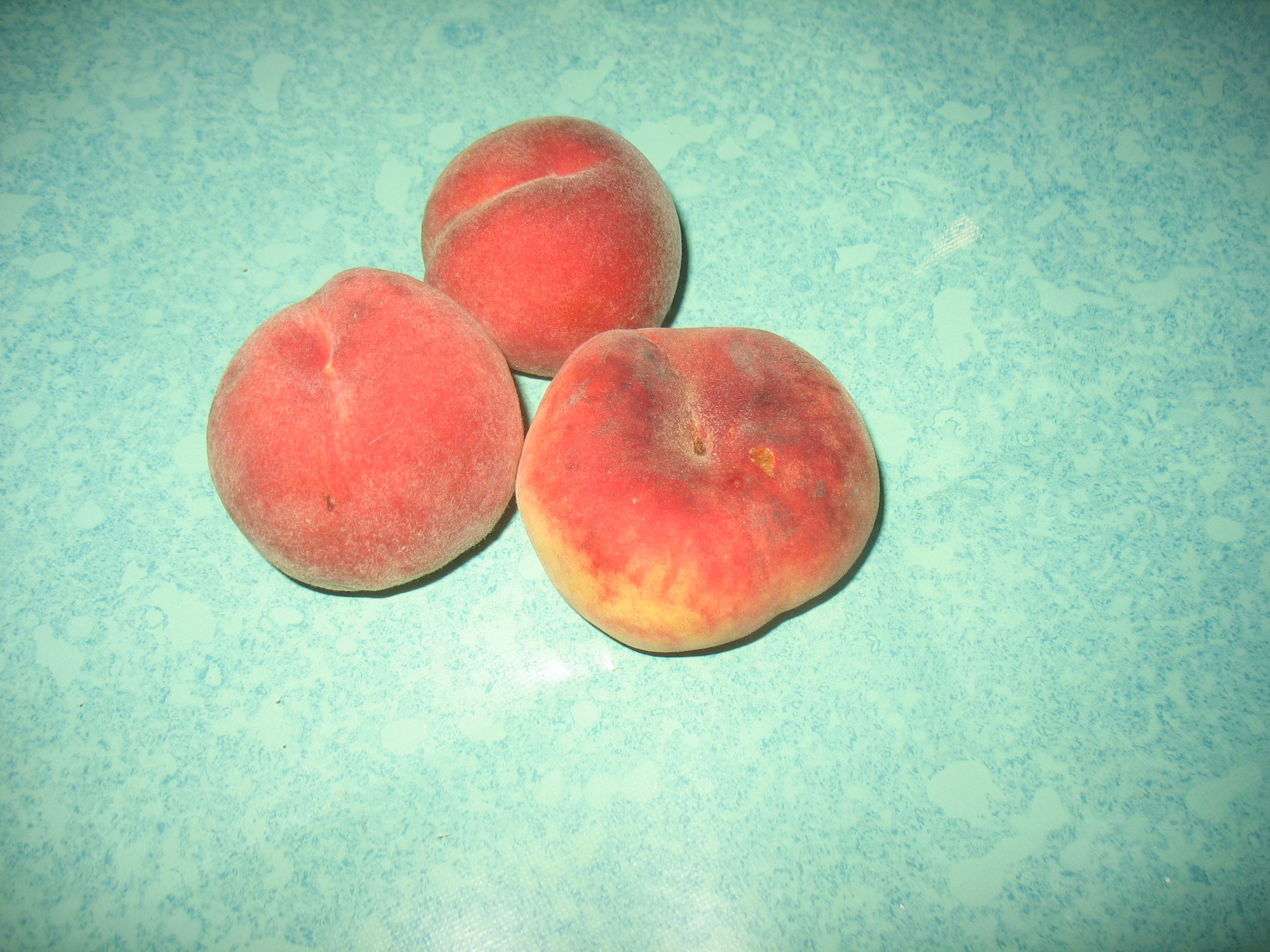 Devinette 005-2.1249749121.JPG