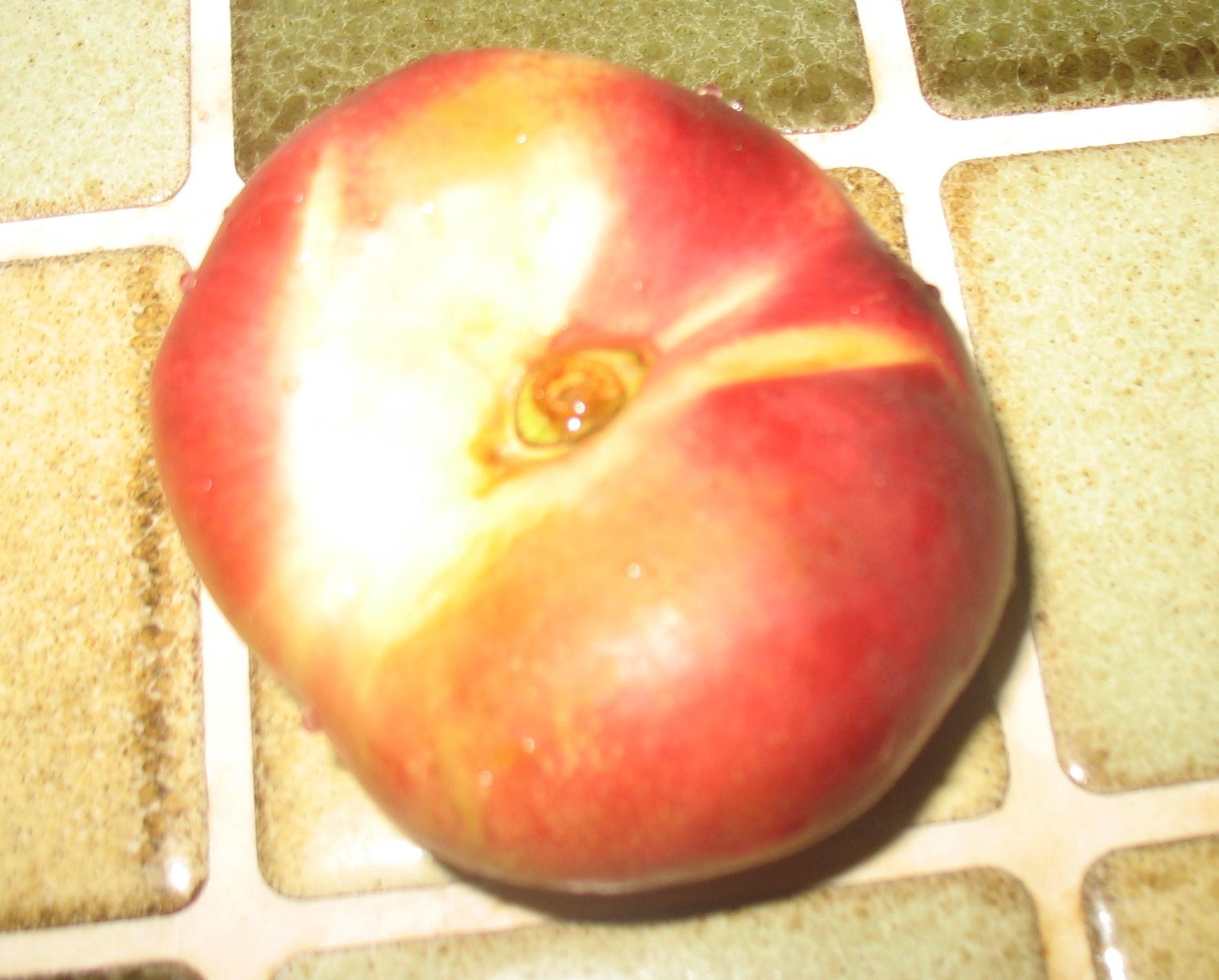 Devinette 003-2.1249749358.JPG