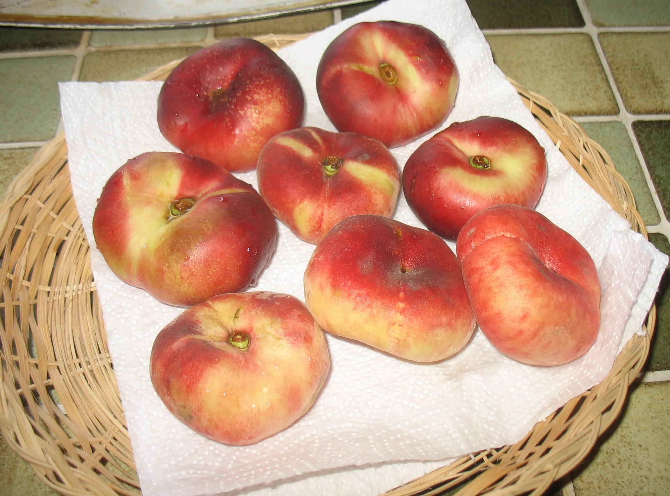 Devinette 003.1249747876.JPG