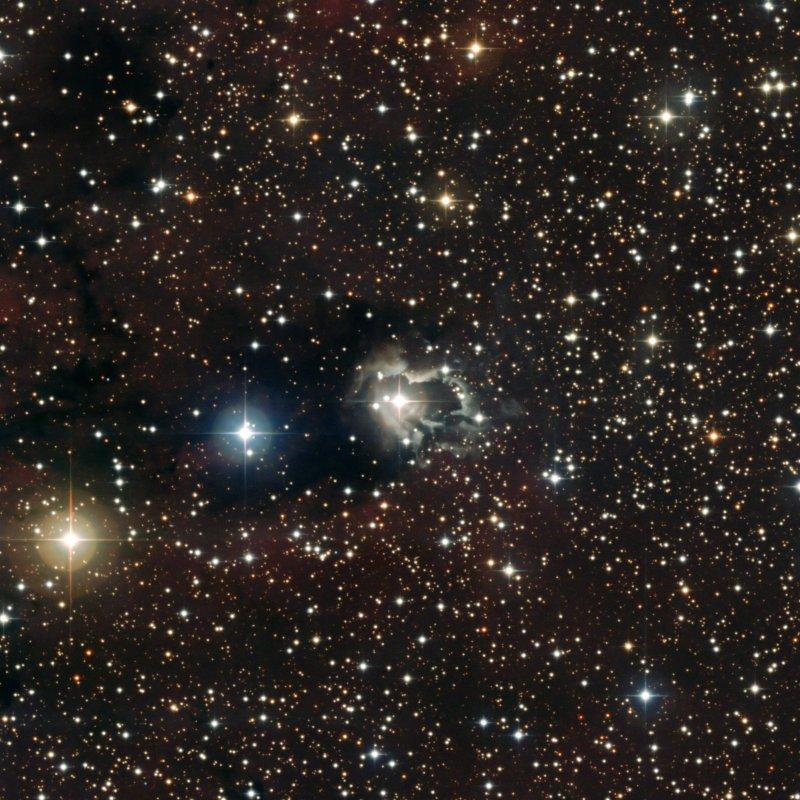 Nébuleuse à reflexion autour de létoile double HD 87643