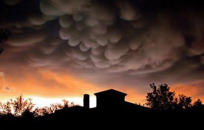 Mammatus Mammatus