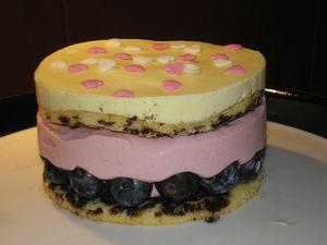 Entremets à la mousse à la framboise et mousse au citron sur lit de myrtilles P1010038