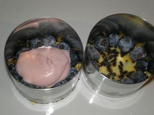 Entremets à la mousse à la framboise et mousse au citron sur lit de myrtilles P1010020